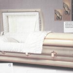 PACKAGE CASKET 20001