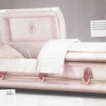 PACKAGE CASKET 20007